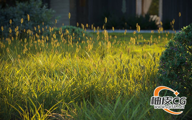 3Dsmax / VRay / Corona园林设计精细剑麻杜鹃蔷薇碧池植物3D模型