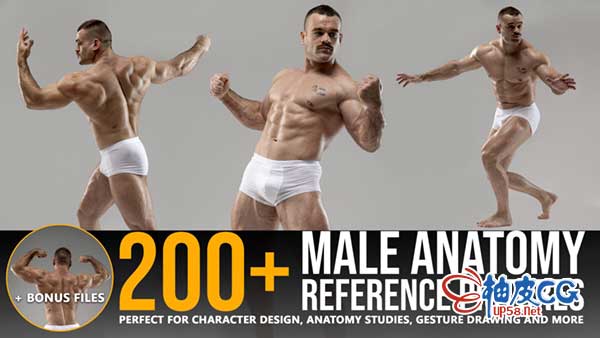 200 +张肌肉猛男男性解剖参考图片