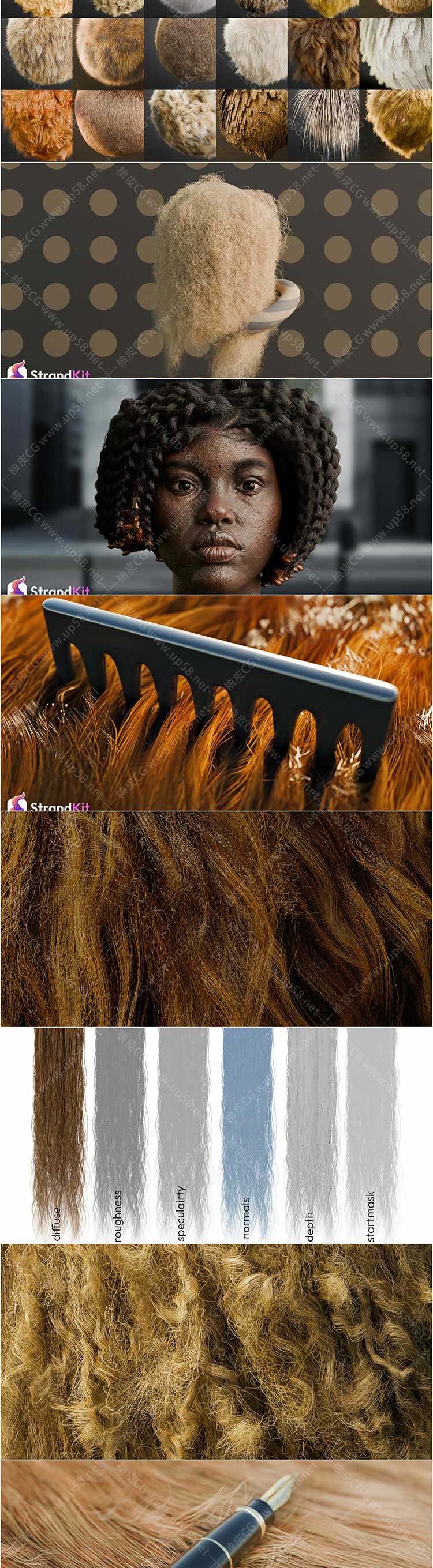 Blender专业创建逼真人类头发动物毛发效果及动力学模拟模块化资产库完整版(中文字幕教程)