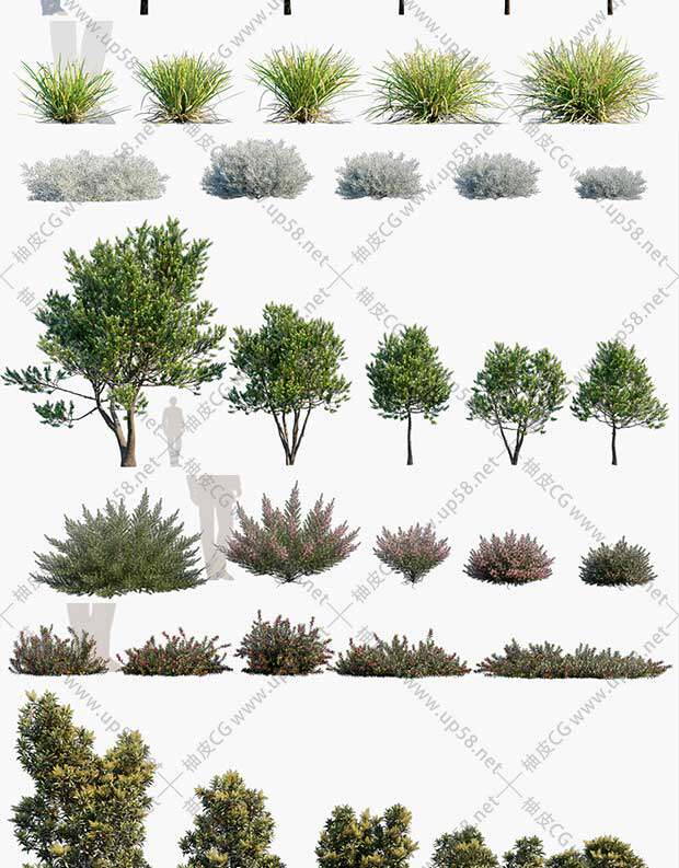 3DSMAX / VRay / Corona园林设计灌木树木植物3D模型素材