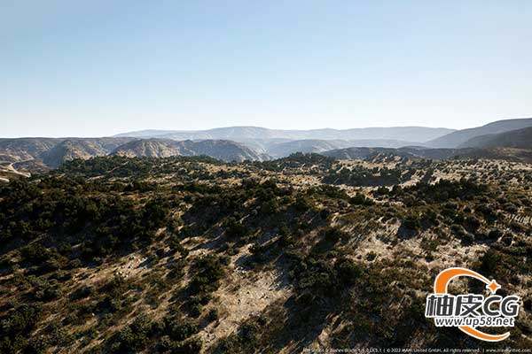 Unreal Engine高性能环境细节灌木丛插件MW Shrubs & Bushes Biome