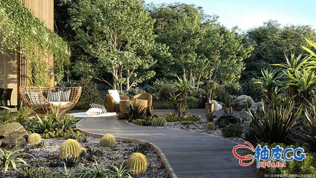 3Dsmax / VRay / Corona园林设计精细仙人掌龙舌兰多肉植物3D模型素材