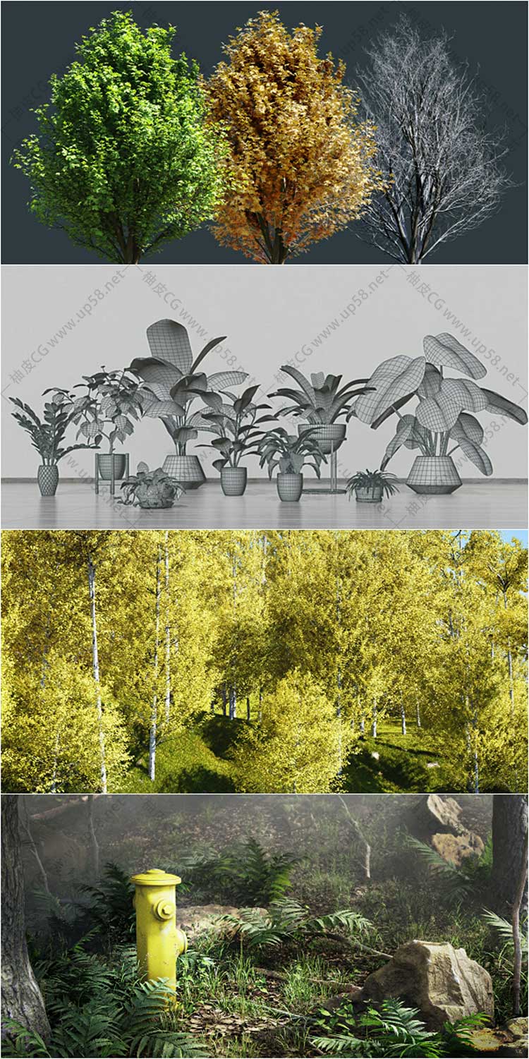 [中文汉化插件]Blender树木草地植物岩石藤曼园艺资源库Botaniq 7.2.0完整版(中文字幕教程)