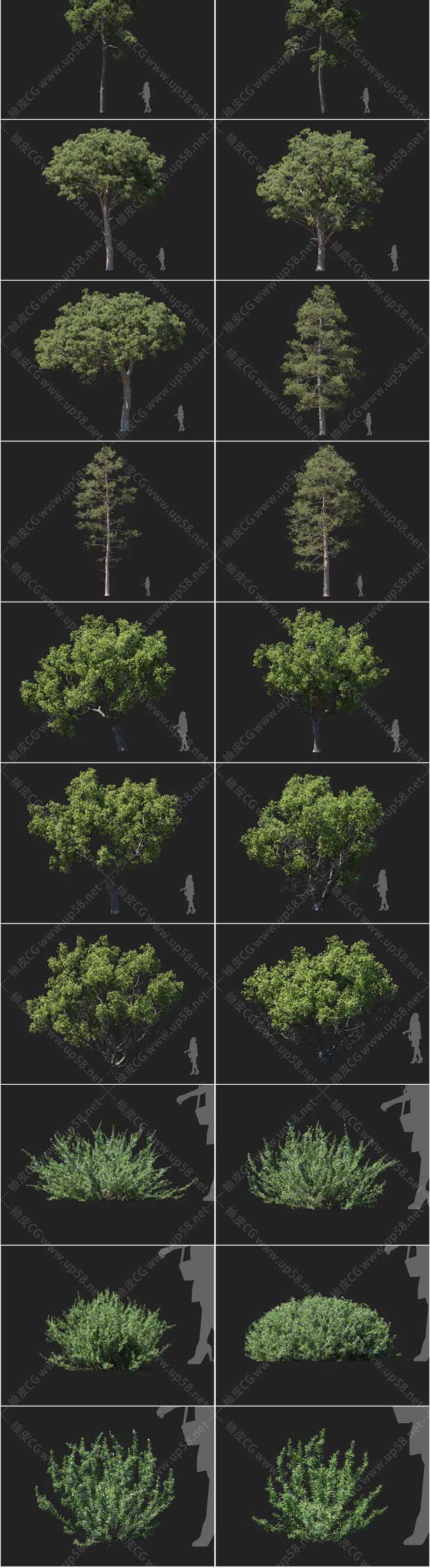 3Dsmax / VRay / Corona园林设计精细无花果柠檬月桂栎树植物3D模型