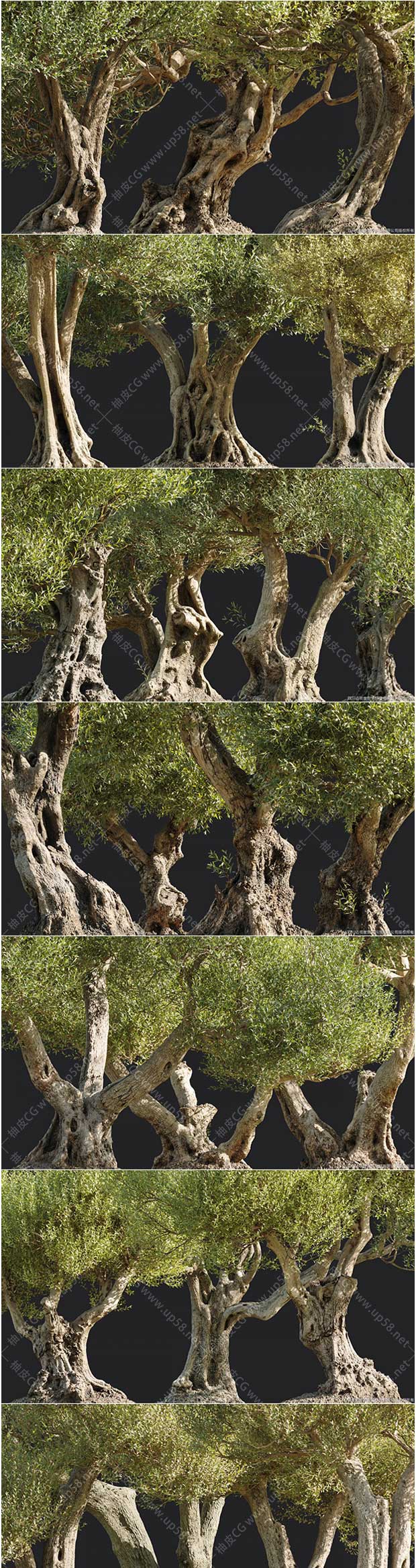 93组3DSMAX/Blender/Cinema 4D/Maya高质量橄榄树3D模型合集