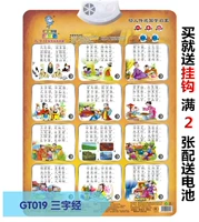 19 -Шарктер Меридиан