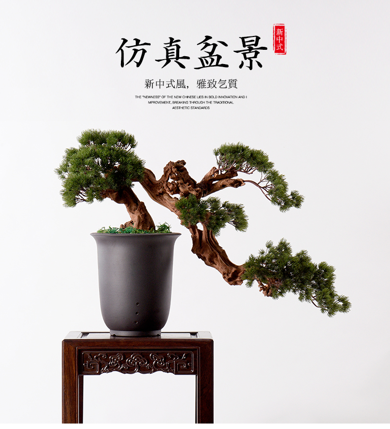 New Chinese style guest - the greeting pine furnishing articles hotel example room decoration indoor sitting room false bonsai podocarpus potted ceramics