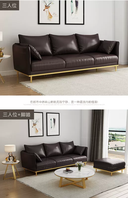 Bắc ou Arts sofa hiện đại nhỏ gọn căn hộ nhỏ phòng khách sofa da ánh sáng sang trọng ba ghế sofa da - Ghế sô pha sô pha giường