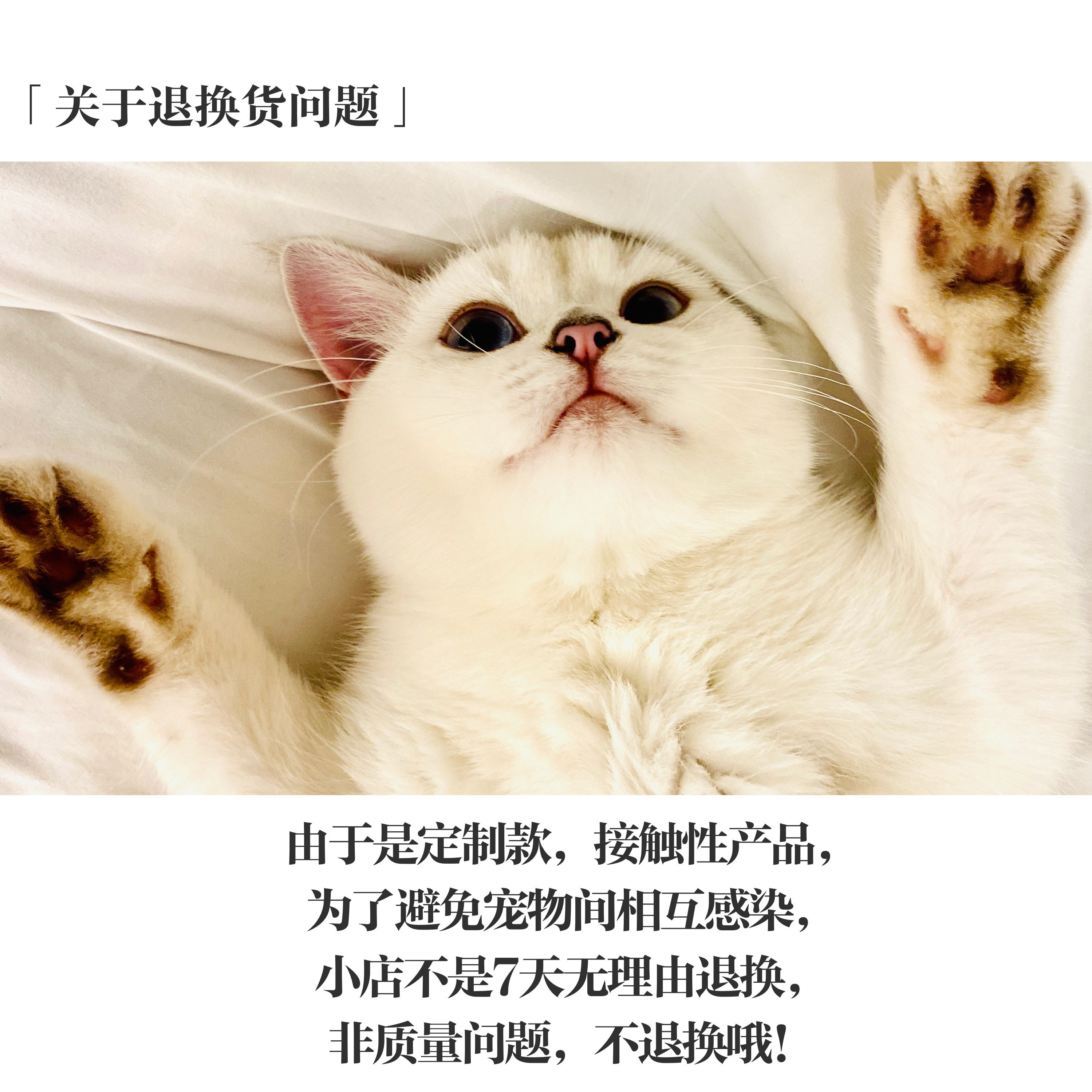 Шарф для домашних животных, нагрудник для кошки, нагрудник для собаки