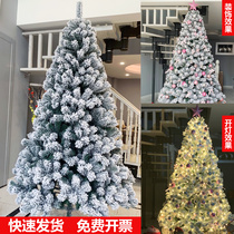 Christmas white snowflake flocking Christmas tree 1 5 meters 1 8 meters 2 1 meters 3 meters simulation snow spray decorative ornaments