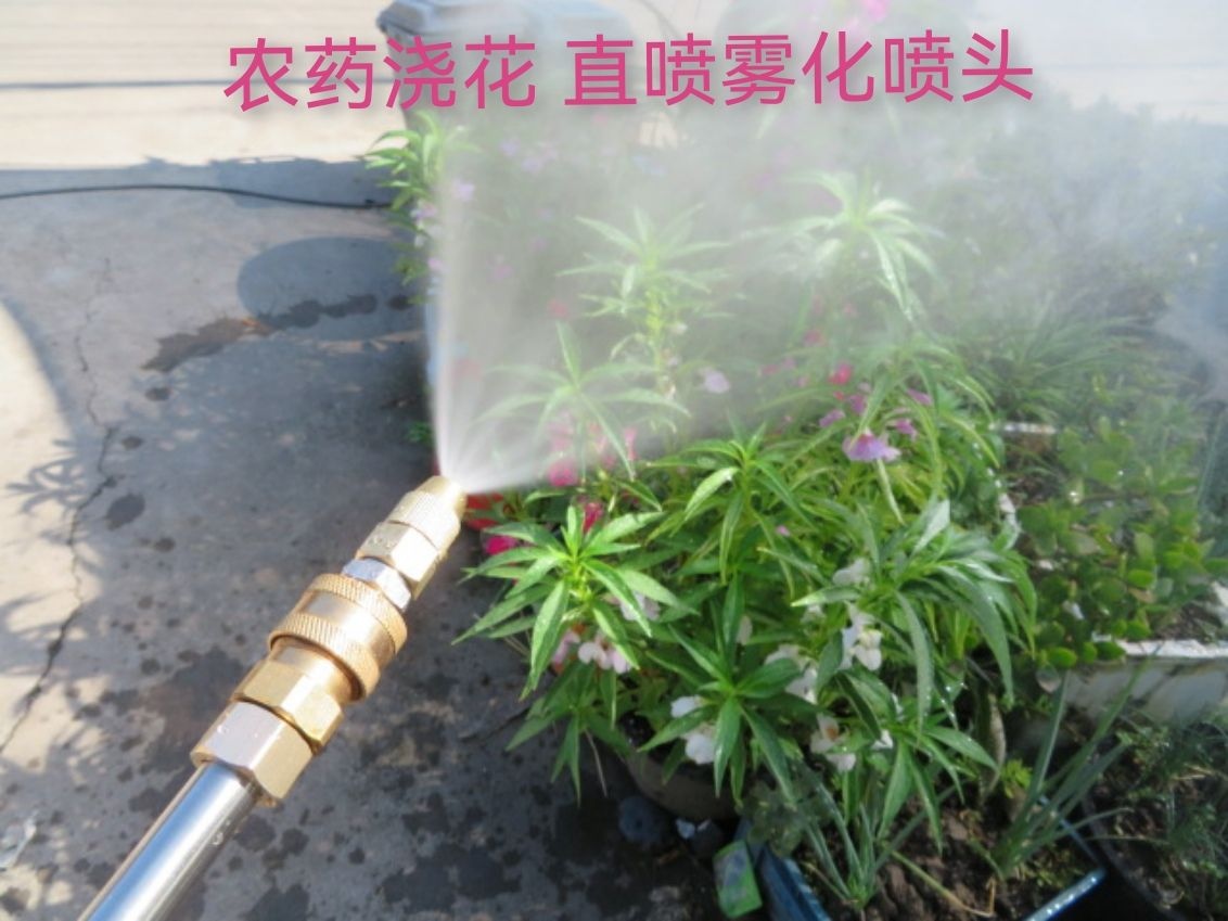 Lithium electric wireless car wash gun common atomized copper nozzle nozzle pesticide watering pouring pouring fast nozzle