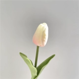 Широкий 閮侀 噾 ins