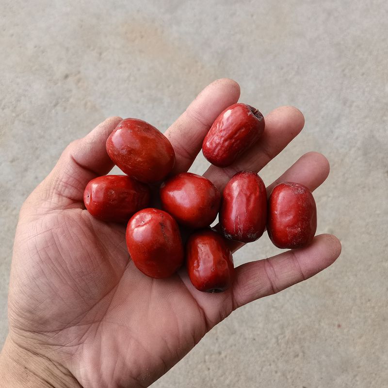 2023 Fresh dates soft date cotton dates Sugar heart dates Shanxi red dates Linxian red dates Huanghe beach date sour sweet wood date-Taobao