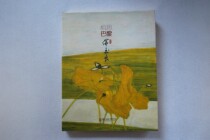 Taiwan version of Acacia Paris-Collection Chang Jade Exhibition Changyu Painting Collection Hardcover