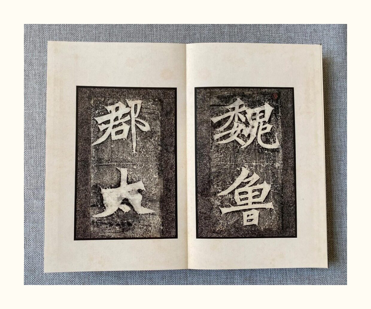 Каллиграфия, печать резки (новый) 明拓张猛龙碑 启功旧藏明末蝉翼精拓本 文物出版社