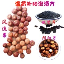 Male bubble wine Shen Nong formula Tibet merry fruit Yin and Yang double kidney bubble wine material 1Kg man bubble wine can be powdered
