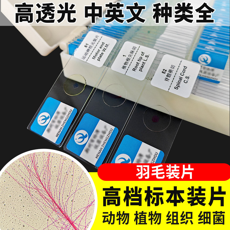 羽毛装片生物切片涂片小学初中高中生物科学实验切片显微镜观察玻片