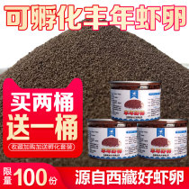 Fish Beep Funyyear Shrimp Eggs Great Red Eggs New Eggs Small Fish Opening Fish Grain To Watch Fish Seven Colorful Gods Feed