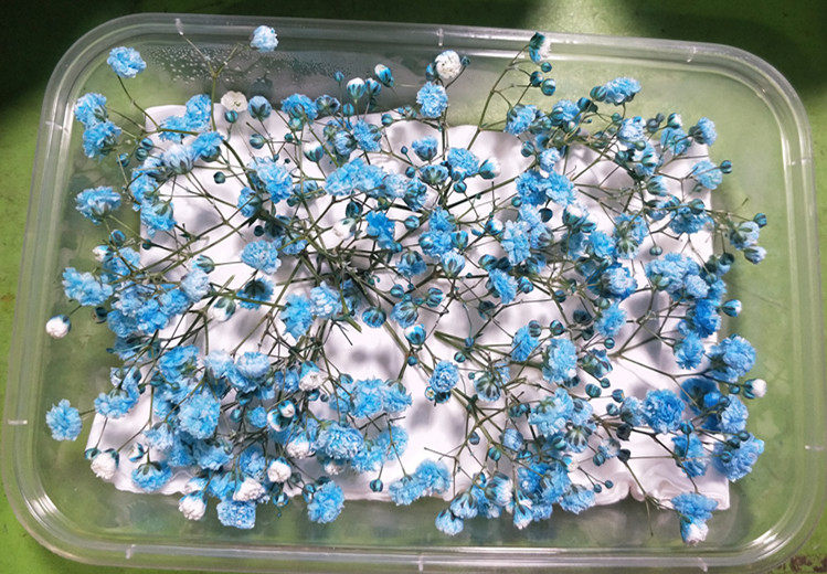 Pendulum Dish Decorations Full of Star Blue Full Star 20g Box Beijing-Tianjin-Hebei Full 68 Shunfeng-Taobao