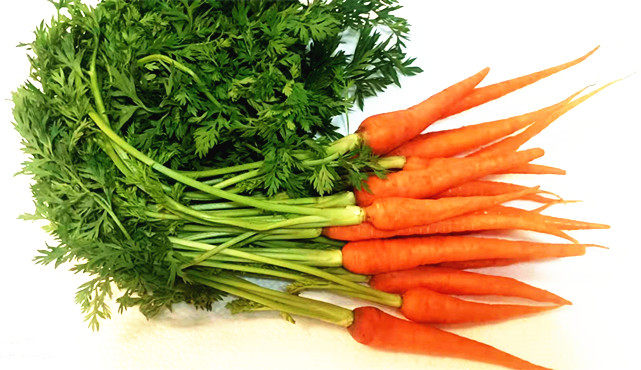 Fresh mini carrots finger carrots 500g Beijing - Tianjin Hebei 68 Shunfeng