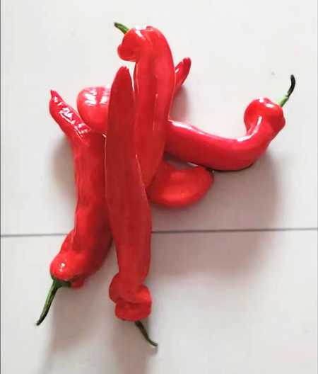 Beijing-Tianjin-Jiman 68 Shunfeng Fresh Red Hot Pepper Big Hot Pepper 500g