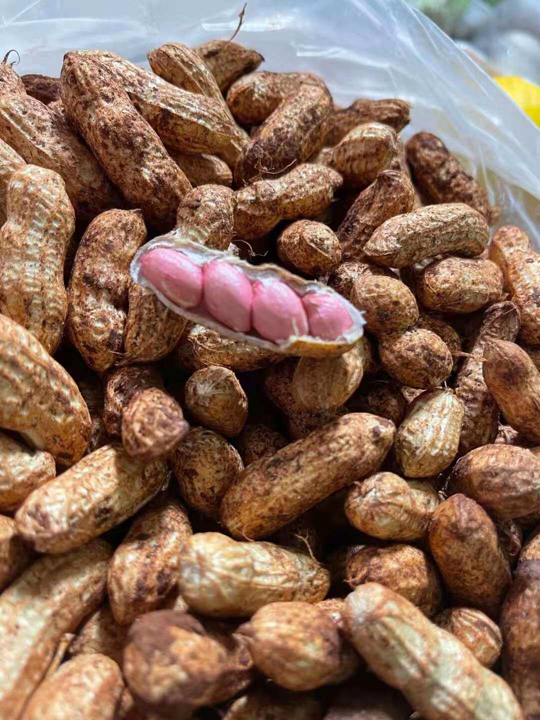 Fresh peanuts wet peanut Beijing-Tianjin-Hebei full 68 Shunfeng 500g-Taobao