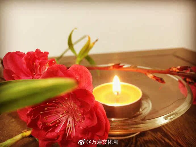 Bougie - Ref 2485541 Image 16