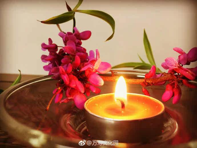 Bougie - Ref 2485541 Image 15