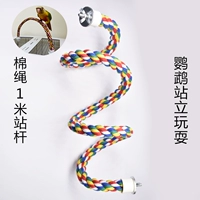 Попугайня хлопчатобумаж