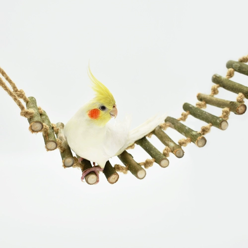 Лестница, качели, интеллектуальная игрушка