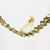 Лестница, качели, интеллектуальная игрушка