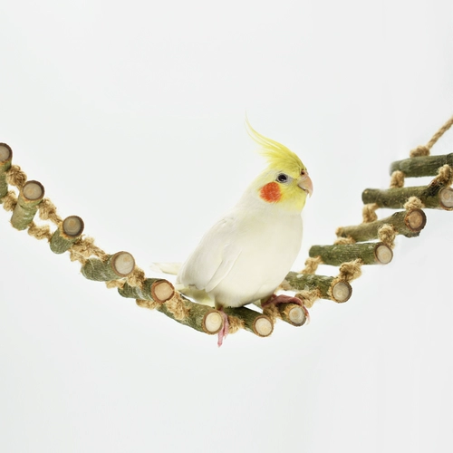 Лестница, качели, интеллектуальная игрушка