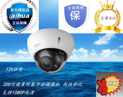 Dahua 2 million pixels H 264 encodes riot hemisphere network camera DH-IPC-HDBW1225R