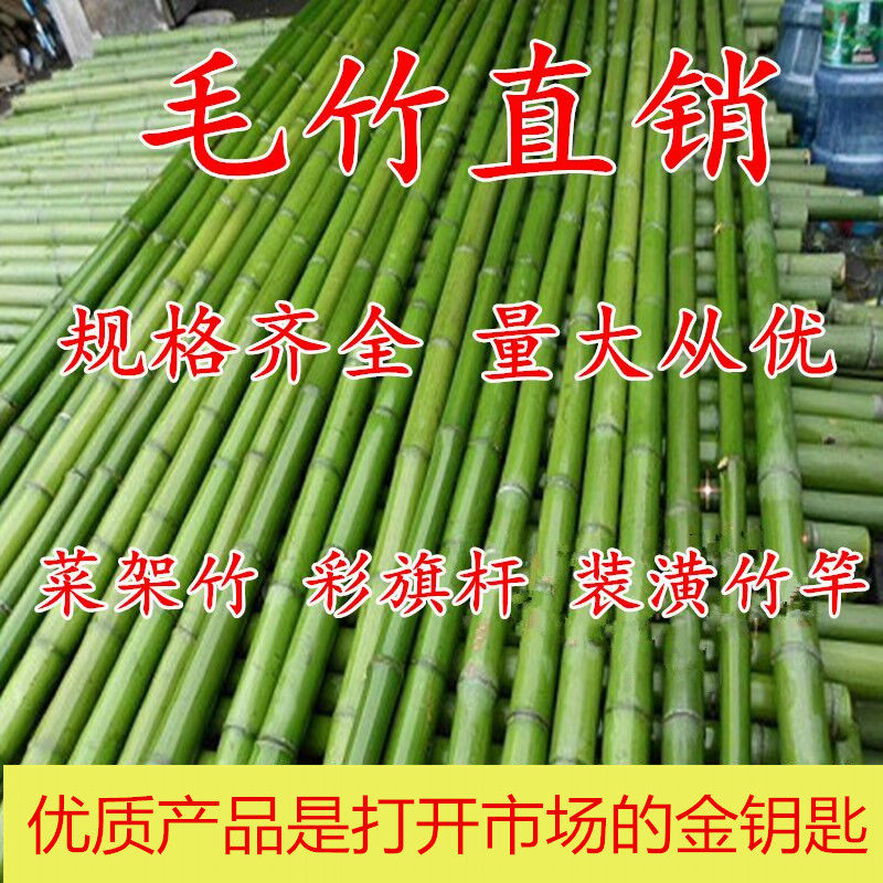 The vegetable garden is set up with beans, cucumbers, tomatoes, grapes, and ammonia nitrogen non-slip magnesium powder of the National Security Bureau.