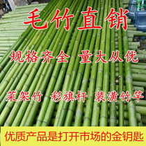 Vegetable Garden Subrack Bean Corner Cucumber Western Red Persimmon Grape Hitch National Council Ammonia Nitrogen Anti-Slip Magnesium Powder