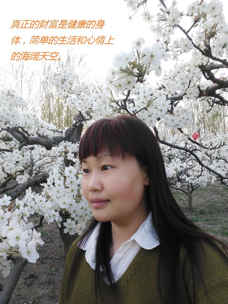 Pads pour soutien-gorge - Ref 814661 Image 12