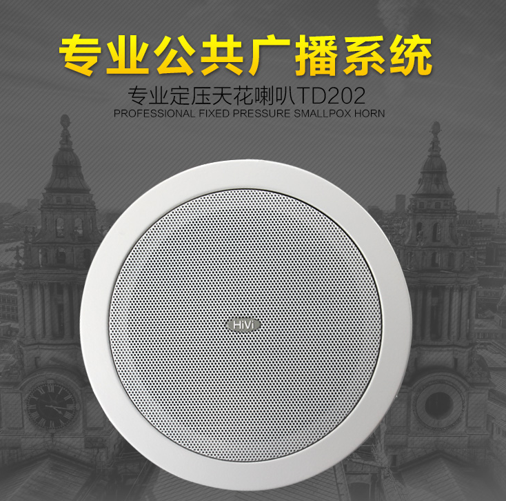 Hivi TD202 Ceiling speaker set Suspended ceiling ceiling audio shop Bluetooth background music system