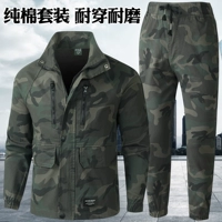 Зеленый лес (чистый хлопковый костюм) топ + брюки