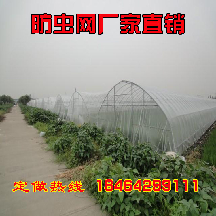 Nylon thickened breeding farm Pig farm anti-mosquito 40 mesh 60 mesh greenhouse anti-insect mesh Yarn mesh Fruit tree cover Agricultural anti-insect mesh