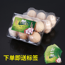 Egg box plastic transparent Disposable egg packaging box fresh-keeping Box 6 PCs medium size 100 manufacturers