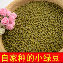 3 pounds of small mung beans farm-produced whole grains sugar water mung bean soup mung bean paste raw materials new package