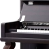 Đàn piano Mendelssohn của Đức Mới dạy dọc nhà chuyên nghiệp Ebony nhập khẩu chuyên nghiệp SUP-28EA-125-K