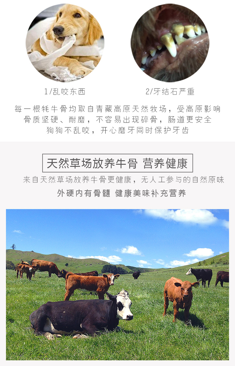 Molar bar dog thịt bò xương chó chó cắn xương lớn thú cưng Teddy Golden Retriever chó lớn chó con chó con - Đồ ăn vặt cho chó thức ăn chó royal canin