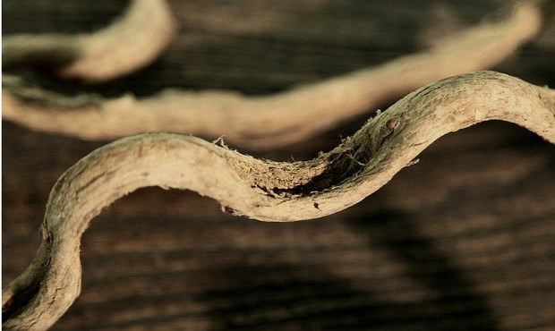 ŵ����������ٸ�