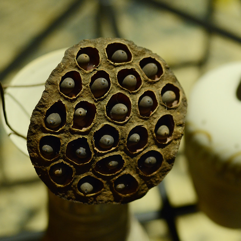 ŵ�������ֹ��Ҿӻ�ƿ