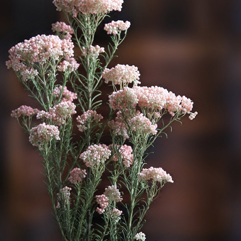 ŵ���ɻ������滨20170326