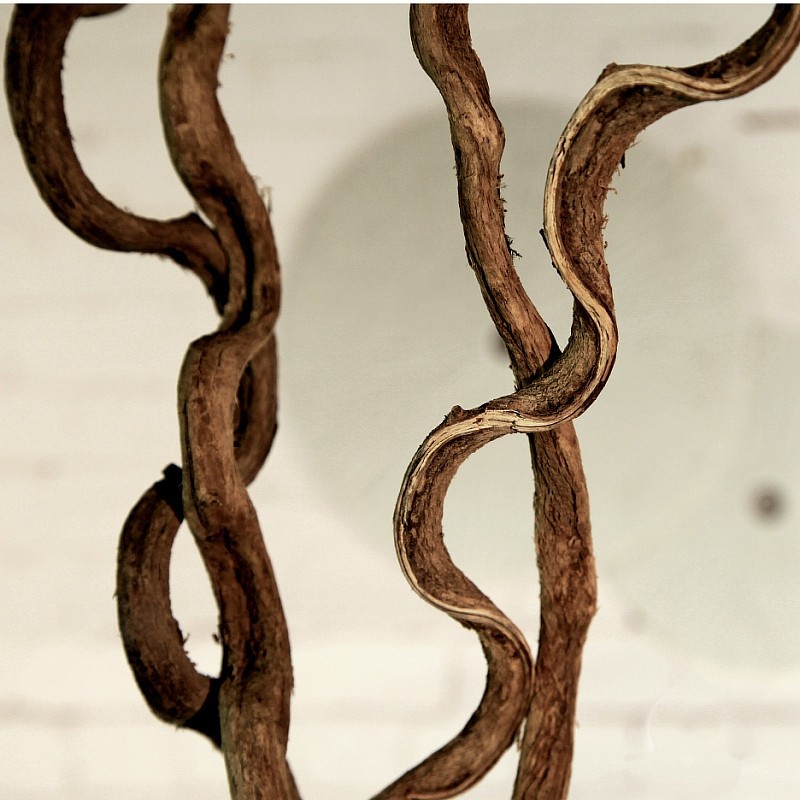 ŵ����������ٸ�