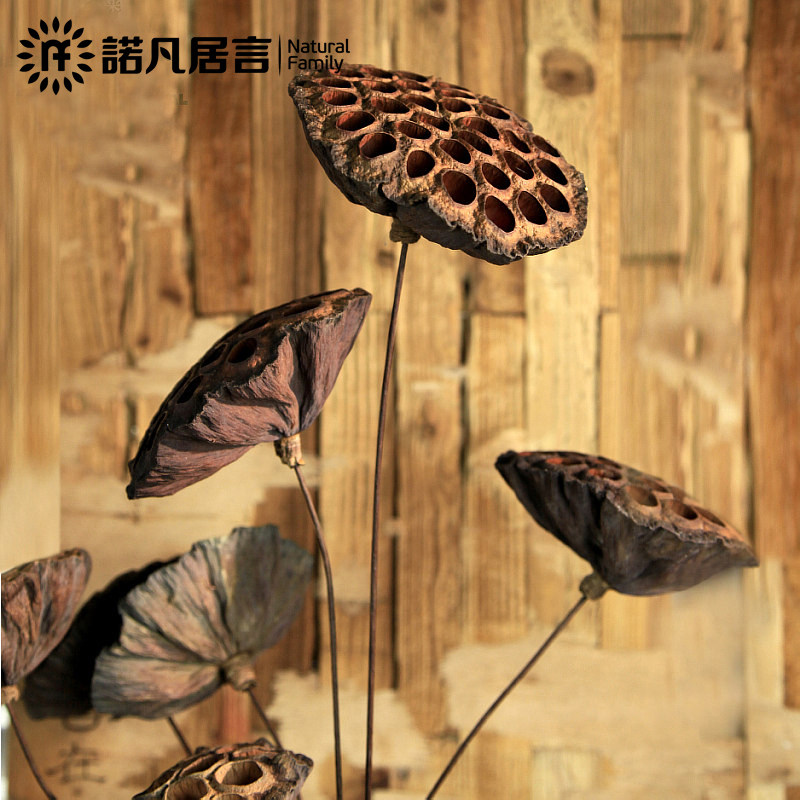 ŵ�����Բ����Ѹ�����