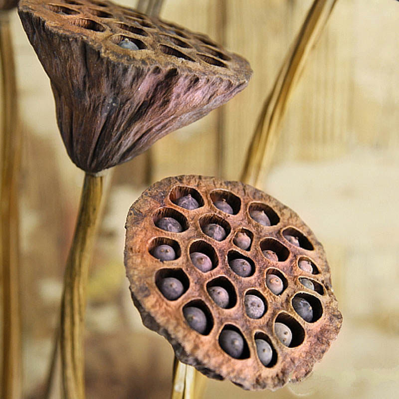 ŵ��������˸�������Ѹɻ�