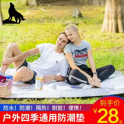 Outdoor moisture-proof mat thickened waterproof dustproof picnic mat aluminum film portable 2-3-4 people camping sleeping mat tent floor mat